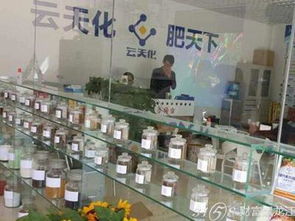 云天化测土配方肥 加盟代理前景与网络技术服务解析